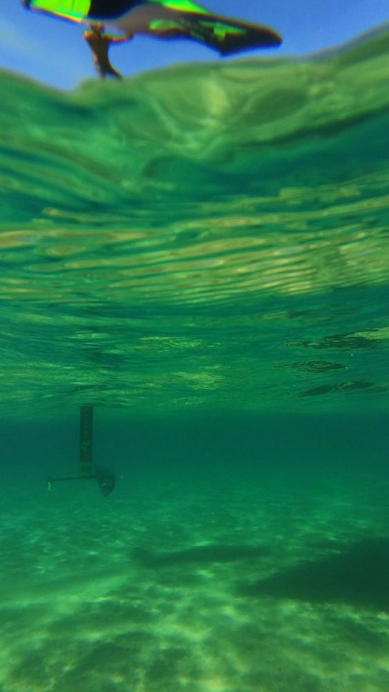 hydrofoil-reptile-highaspect